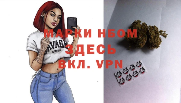 гашик Надым