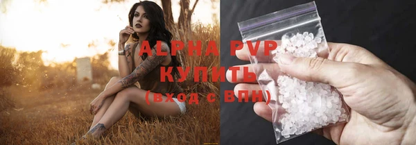 гашик Надым