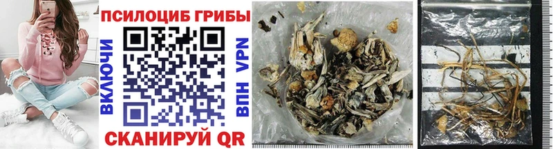 Галлюциногенные грибы Cubensis  Нижнеудинск 