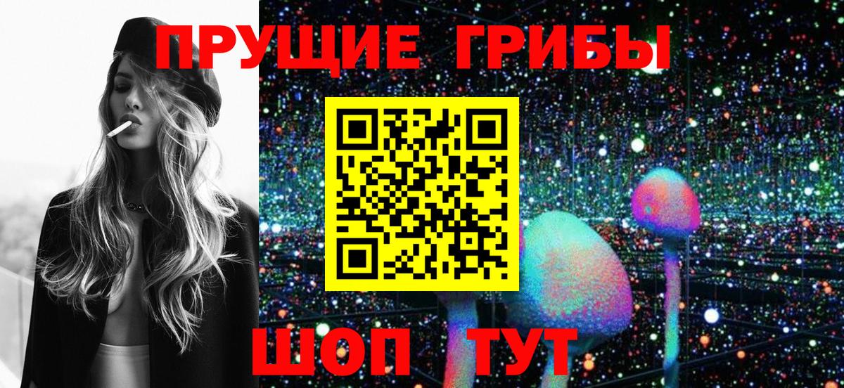 Галлюциногенные грибы Psilocybe  Вход с VPN  Нижнеудинск 