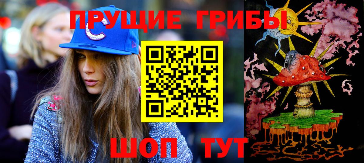 Псилоцибиновые грибы Psilocybe Нижнеудинск